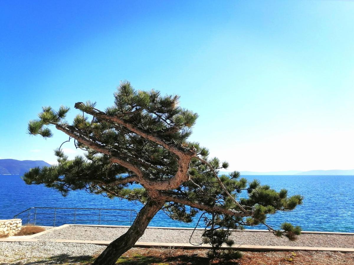 Apartment Rosanna - Intermezzo In Center Of 라벡 외부 사진